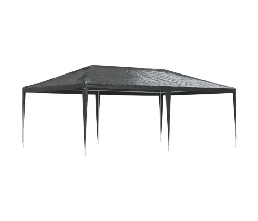 Professionaalne Peotelk, 4 X 6 M, Antratsiithall, 90 G/M²