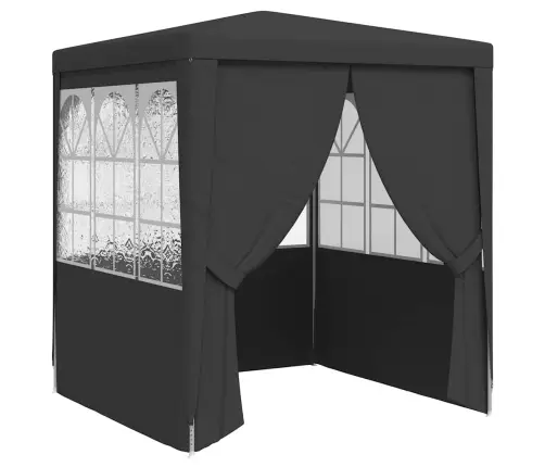 Professionaalne Peotelk Külgseintega, 2X2 M, Antratsiit 90 G/M²