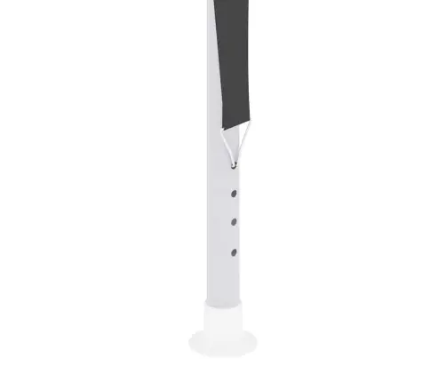 Professionaalne Peotelk Külgseintega, 2X2 M, Antratsiit 90 G/M²