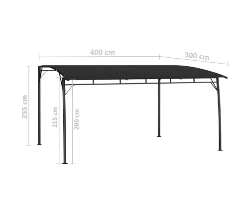 Dārza Nojume, 4X3X2,55 M, Antracītpelēka Vidaxl