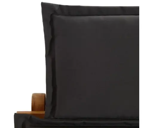 Päevitustool Istmepadjaga, Akaatsiapuit, Tumehall