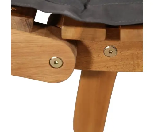 Päevitustool Istmepadjaga, Akaatsiapuit, Tumehall