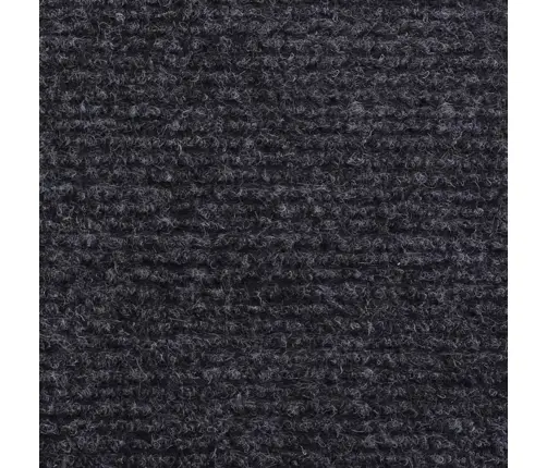 Näitusevaip Ribiline 1,2X10 M Antratsiithall