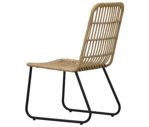 Dārza Krēsli, 2 Gab., Pe Rotangpalma, Ozolkoka Krāsa Vidaxl