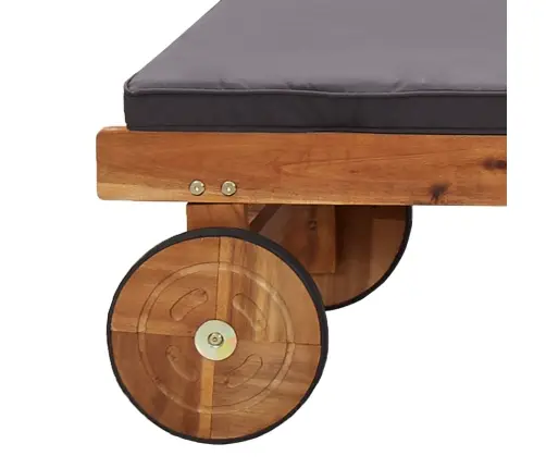 Saulės Gultas Su Čiužinuku, Akacijos Medienos Masyvas