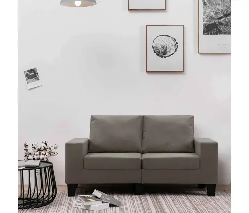 Dīvāns Pelēkbrūna Divvietīgi Dīvāni Audums Vidaxl