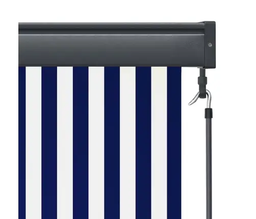 Āra Ruļļu Žalūzija, 60X250 Cm, Zila Un Balta Vidaxl