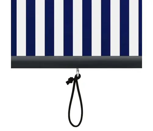 Āra Ruļļu Žalūzija, 60X250 Cm, Zila Un Balta Vidaxl