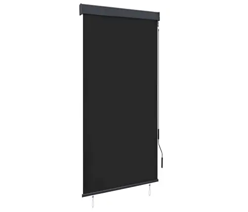 Āra Ruļļu Žalūzija, 100X250 Cm, Antracītpelēka Vidaxl