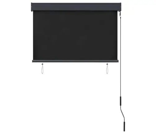 Āra Ruļļu Žalūzija, 100X250 Cm, Antracītpelēka Vidaxl