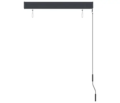 Āra Ruļļu Žalūzija, 100X250 Cm, Antracītpelēka Vidaxl