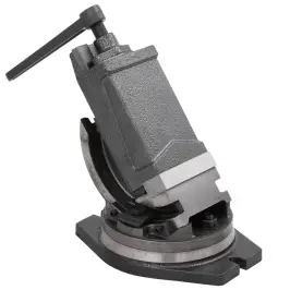 Skrūvspīles, 2 Asis, Noliecamas, 100 Mm Vidaxl