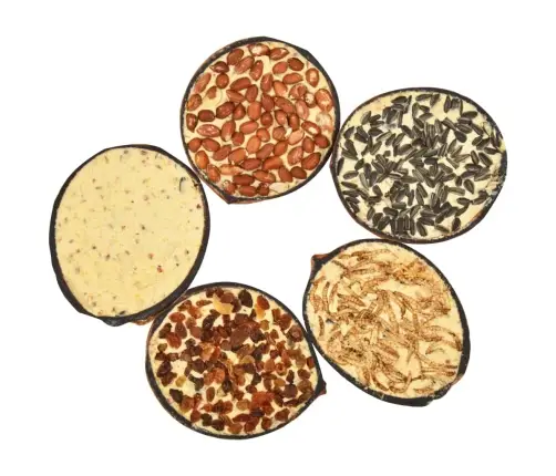 Putnu Barība, Pildītas Kokosriekstu Pusītes, 10 Gab., 290 G Vidaxl