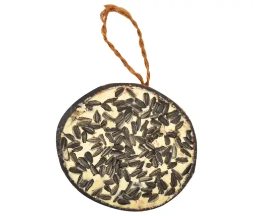 Putnu Barība, Pildītas Kokosriekstu Pusītes, 10 Gab., 290 G Vidaxl