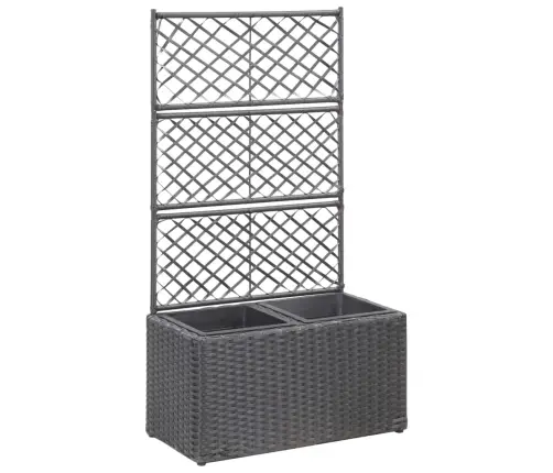 Vīteņaugu Režģis Ar 2 Augstām Kastēm, 58X30X107 Cm, Melns Pe Vidaxl