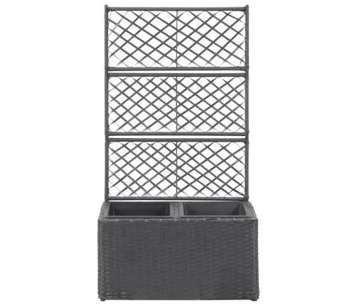 Vīteņaugu Režģis Ar 2 Augstām Kastēm, 58X30X107 Cm, Melns Pe Vidaxl