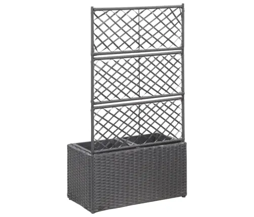 Vīteņaugu Režģis Ar 2 Augstām Kastēm, 58X30X107 Cm, Melns Pe Vidaxl