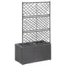 Vīteņaugu Režģis Ar 2 Augstām Kastēm, 58X30X107 Cm, Melns Pe Vidaxl