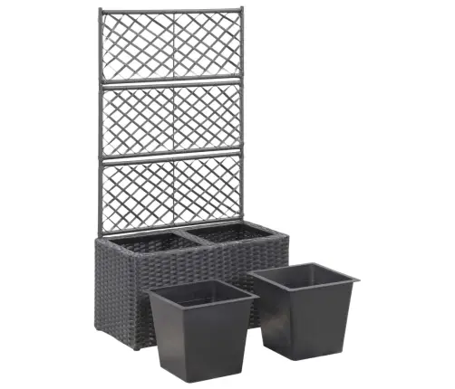 Vīteņaugu Režģis Ar 2 Augstām Kastēm, 58X30X107 Cm, Melns Pe Vidaxl