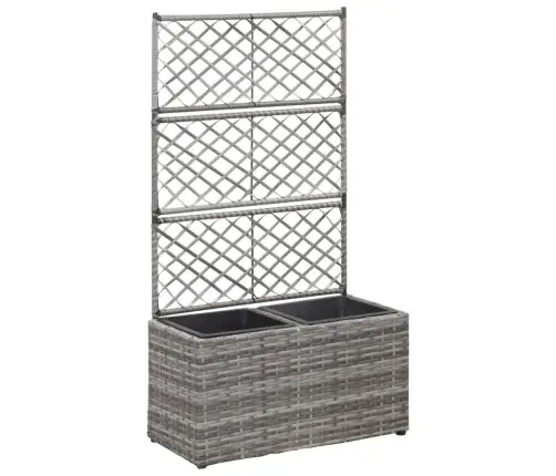 Vīteņaugu Režģis Ar 2 Augstām Kastēm, Pelēks, 30X30X107 Cm, Pe Vidaxl