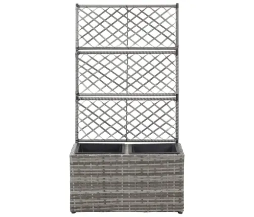 Vīteņaugu Režģis Ar 2 Augstām Kastēm, Pelēks, 30X30X107 Cm, Pe Vidaxl