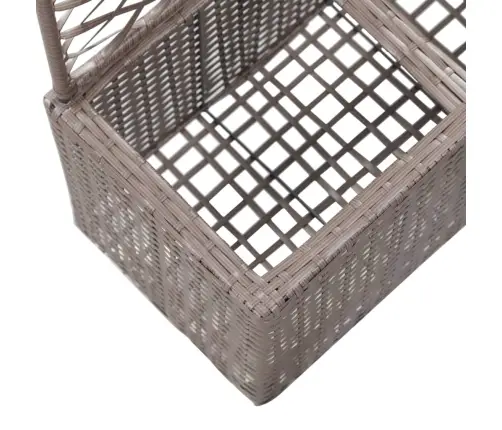 Vīteņaugu Režģis Ar 2 Augstām Kastēm, Brūns, 30X30X107 Cm, Pe Vidaxl