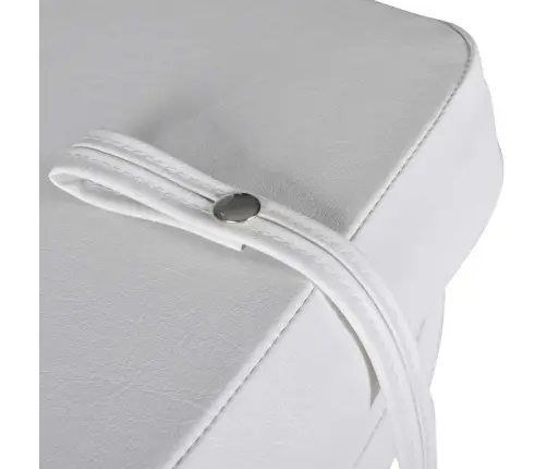 Valties Sėdynės, 2 Vnt., Baltos Ir Mėlynos Sp., 41X36X48Cm