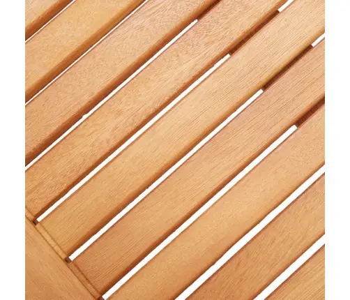 Divvietīgs Dārza Sols, 120 Cm, Eikalipta Masīvkoks Vidaxl