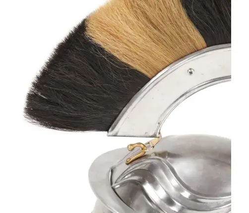 Romiešu Bruņucepure, Replika, Sudraba Krāsas Tērauds Vidaxl