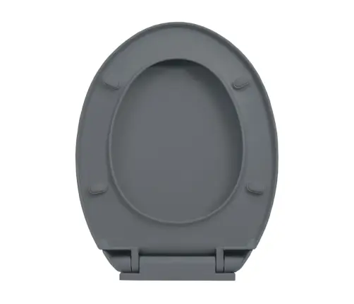 Klozeto Sėdynė Su Soft-Close Mechanizmu, Pilkos Spalvos, Ovali