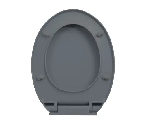 Klozeto Sėdynė Su Soft-Close Mechanizmu, Pilka, Ovali