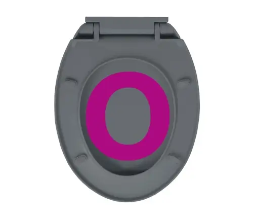 Klozeto Sėdynė Su Soft-Close Mechanizmu, Pilka, Ovali
