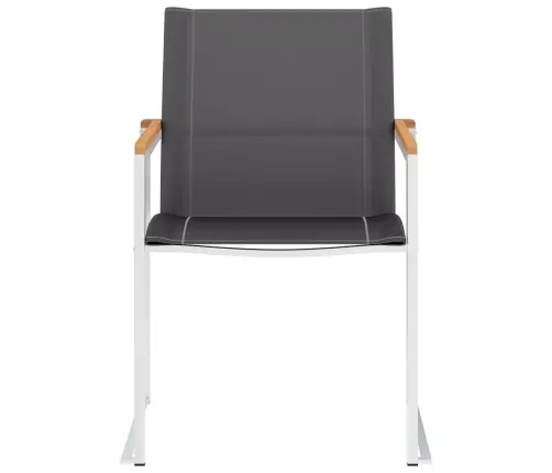 Aiatoolid, 2 Tk, Tekstileen Ja Roostevaba Teras, Hall Aiatoolid, 2 Tk, Tekstileen Ja Roostevaba Teras, Hall