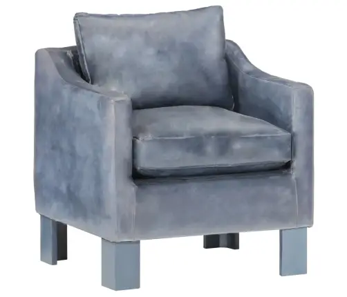 Krėslas, Pilkos Spalvos, Tikra Oda