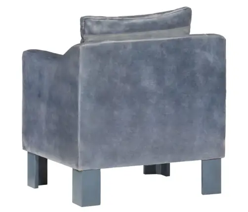 Krėslas, Pilkos Spalvos, Tikra Oda