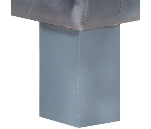 Krėslas, Pilkos Spalvos, Tikra Oda