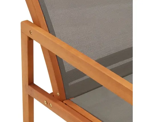 Dārza Atpūtas Krēsls, Pelēks, Eikalipta Masīvkoks Un Tekstilēns Vidaxl