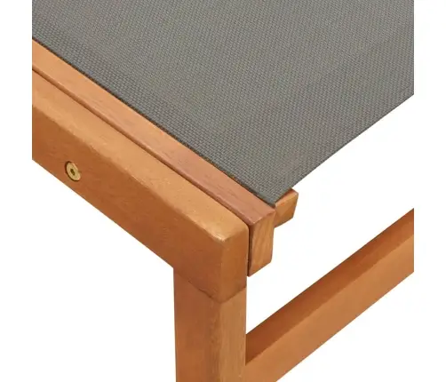 Dārza Krēsls Ar Kāju Balstu, Pelēks, Eikalipta Masīvkoks  Vidaxl