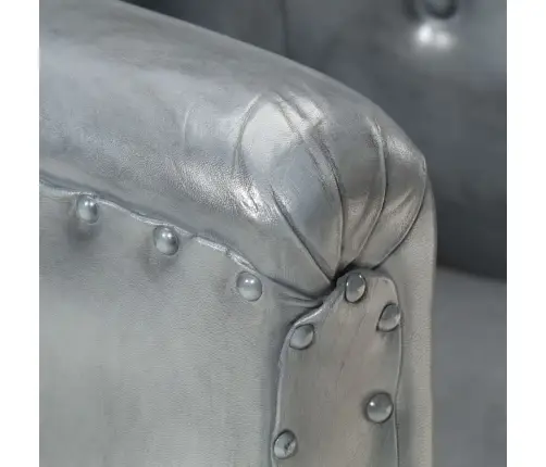 Tugitool, Hall, Ehtne Nahk