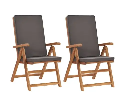 Atlošiamos Sodo Kėdės Su Pagalvėmis, 2Vnt., Pilkos, Tikmedis