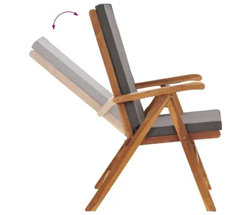 Atlošiamos Sodo Kėdės Su Pagalvėmis, 2Vnt., Pilkos, Tikmedis