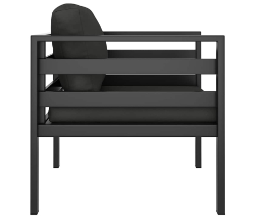 Vienvietė Sofa Su Pagalvėlėmis, Antracito Spalvos, Aliuminis