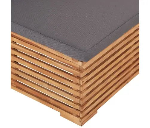 Dārza Vidējais Dīvāns Ar Pelēku Spilvenu, Masīvs Tīkkoks Vidaxl