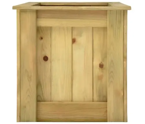 Tõstetud Peenar 100 X 50 X 50 Cm Immutatud Männipuidust