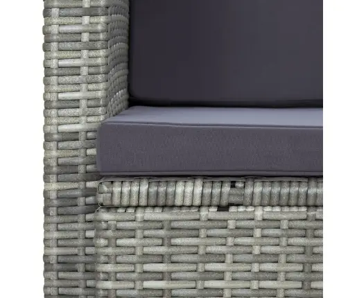 Divvietīgs Dārza Dīvāns Ar Matračiem, Pelēka Pe Rotangpalma Vidaxl