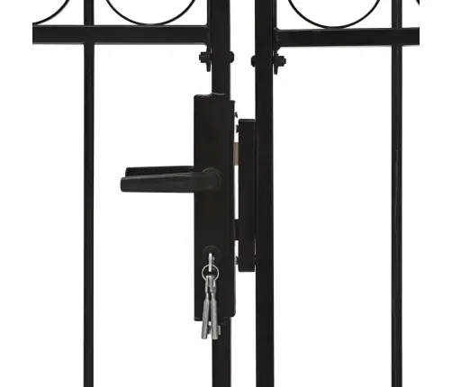 Dvigubi Vartai Su Arkiniu Viršumi, Juodi, 300X175cm Plienas