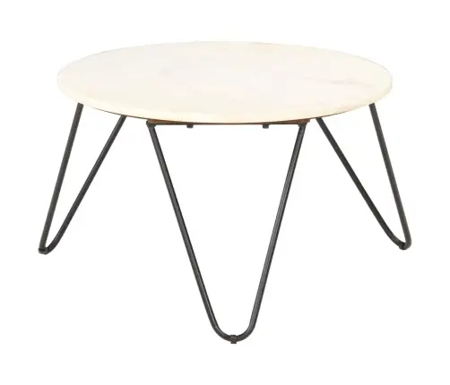 Kafijas Galdiņš, 65X65X42 Cm, Akmens, Balta Marmora Tekstūra Vidaxl