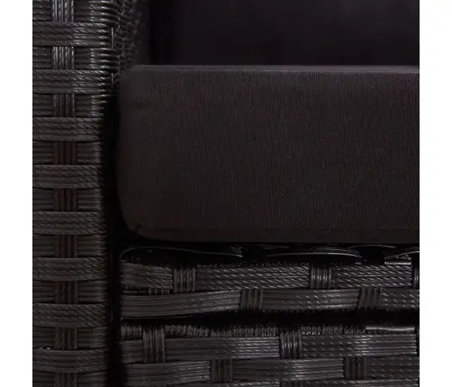 Dvivietė Sodo Sofa Su Pagalvėlėmis, Juoda, 124cm Poliratanas