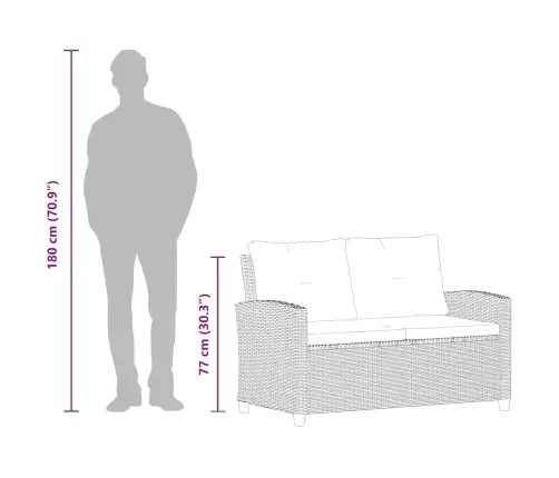 Dvivietė Sodo Sofa Su Pagalvėlėmis, Juoda, 124cm Poliratanas