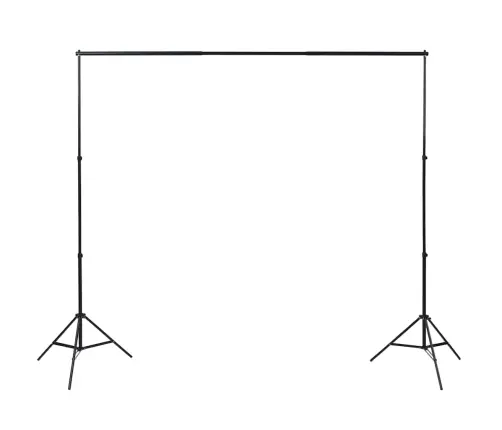 Fotostudijas Komplekts - Gaismas Izkliedētāji Un Foni Vidaxl